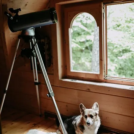 Villa Przystan 545 *