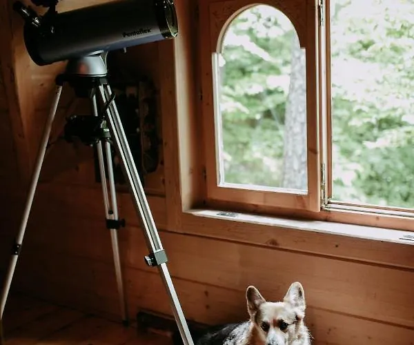 Villa Przystan 545 *