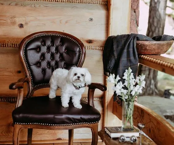 Przystan 545 * Roznow